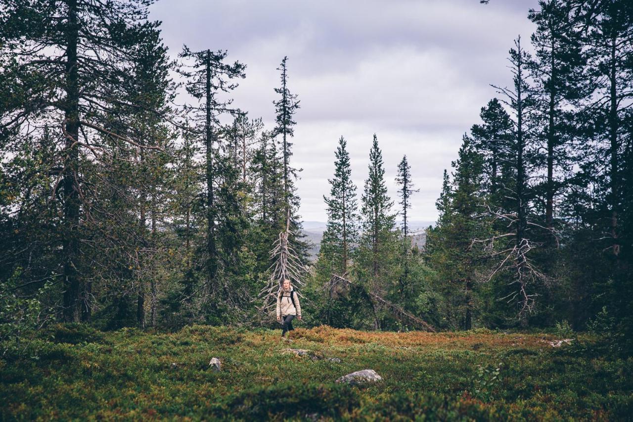 Lapland Hotels Riekonlinna Saariselkä Zewnętrze zdjęcie