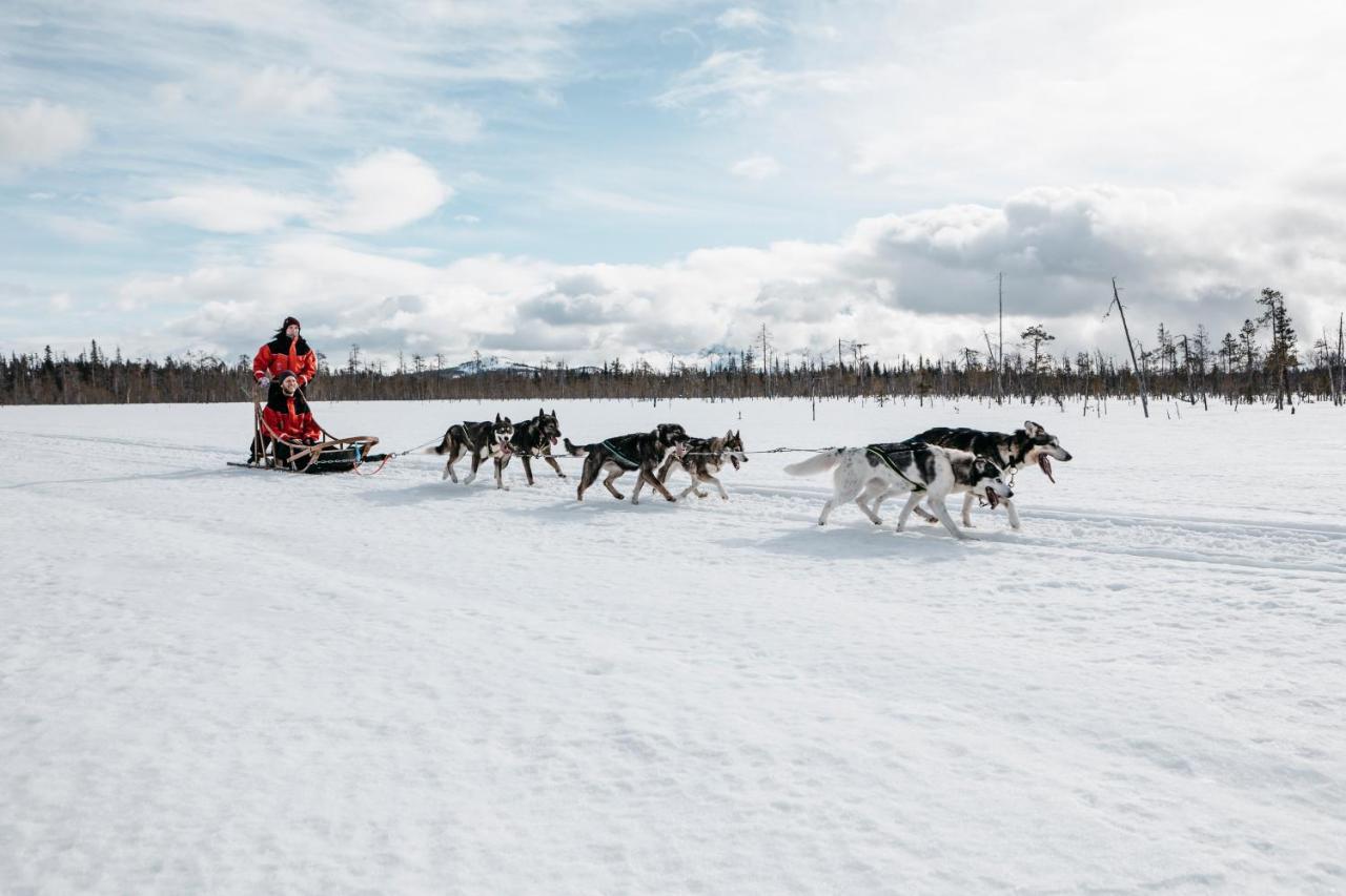 Lapland Hotels Riekonlinna Saariselkä Zewnętrze zdjęcie